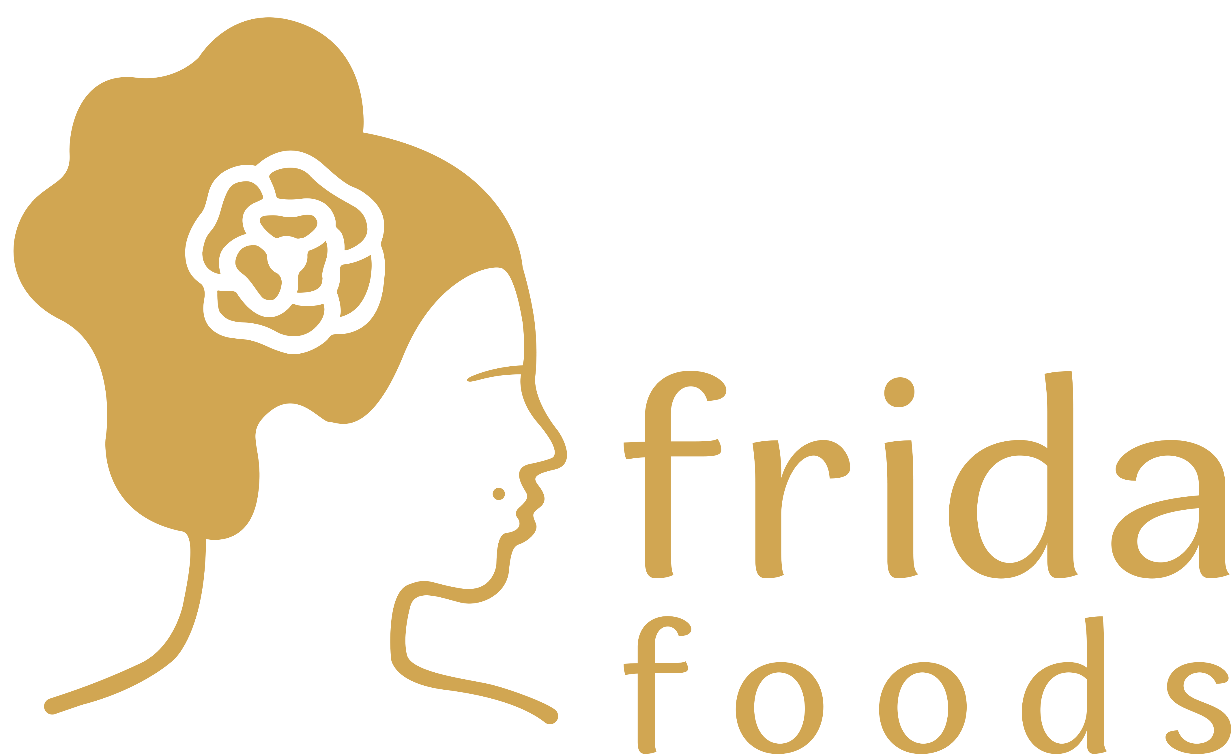 Frida Foods